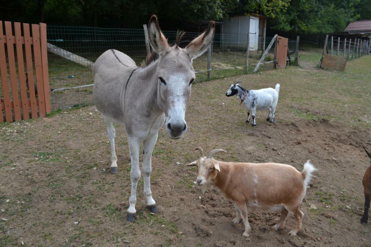 Le Paradis Des Animaux Coublevie Exterior photo